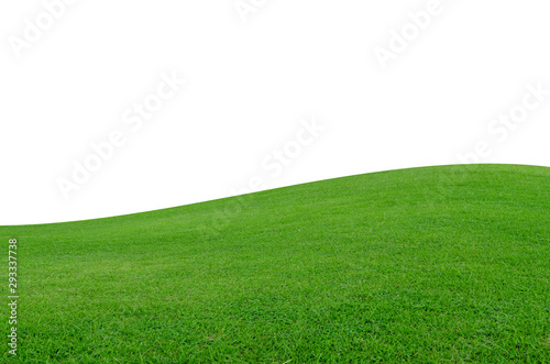Green grass field isolated on white background with clipping path. © Anucha