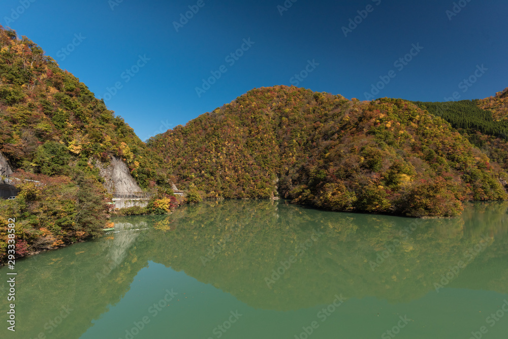 飛越峡合掌ライン_国道156号_富山県 飛越峡合掌ライン_国道156号_富山県