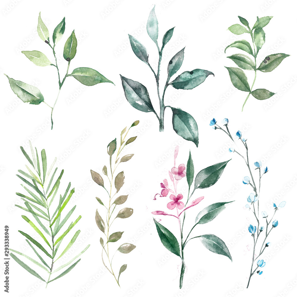 Green leaves and branches. Set of watercolor illustrations. Green leaves and branches. Set of watercolor illustrations.