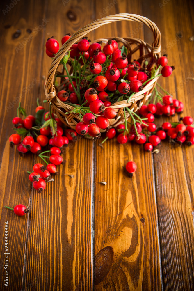 ripe red dogrose in a basket on a wooden