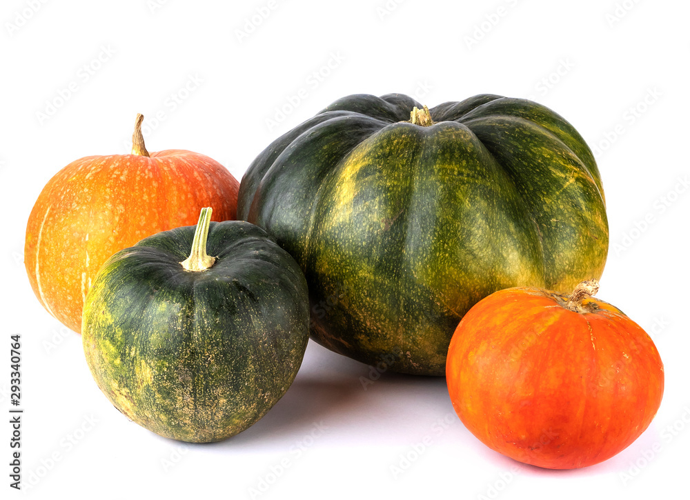four green, red and yellow pumpkin isolated on white background. autumn harvest creative concept four green, red and yellow pumpkin isolated on white background. autumn harvest creative concept