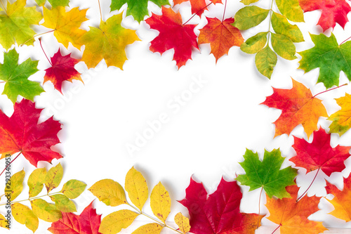 Autumn composition. Multi-colored maple leaves  red  green and yellow make a frame for copy space. Autumn  fall  thanksgiving day concept. Flat lay  top view