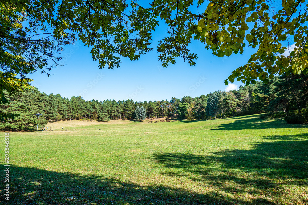 Green lawn in the middle of the park, a warm sunny autumn day Green lawn in the middle of the park, a warm sunny autumn day