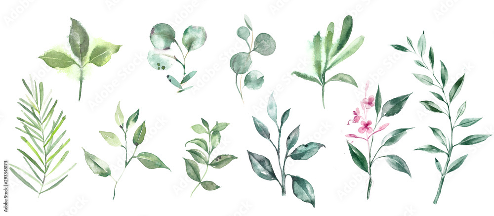 Green leaves and branches. Big set of watercolor illustrations.