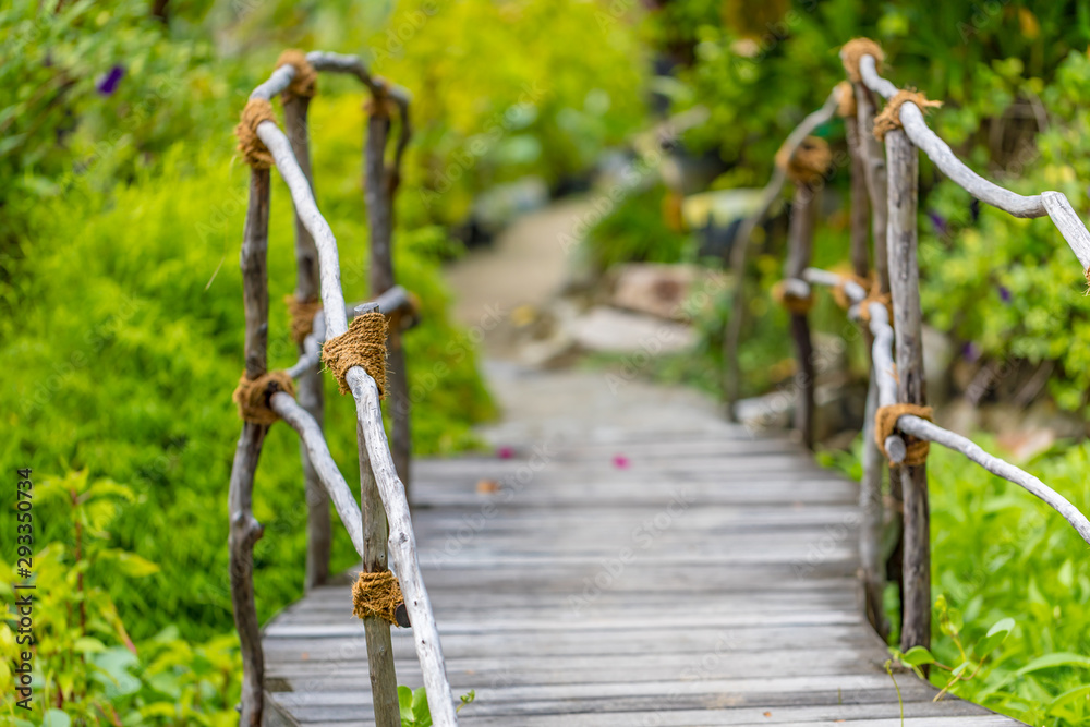 Wooden bridge in tropical rain forest Wooden bridge in tropical rain forest