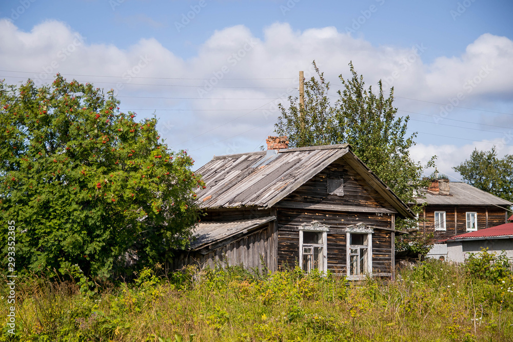 Old wooden house in the village with two Windows and a Rowan tree Old wooden house in the village with two Windows and a Rowan tree