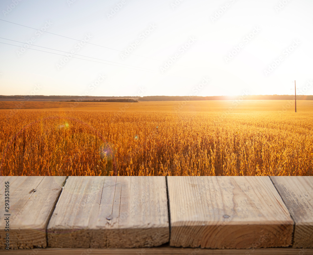 wheat field Landscape, wheat field Landscape, South Borneo Indonesia. Empty place. Wooden table. antique table.
