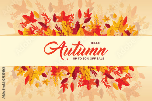 Autumn background with flat leaves. Seasonal lettering.web banner template.vector illustration