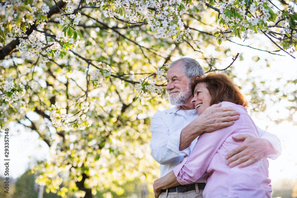 Beautiful senior couple in love outside in spring nature, hugging. Beautiful senior couple in love outside in spring nature, hugging.