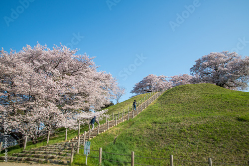 さきたま古墳公園