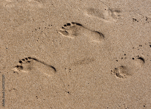 Footsteps on sand on the beach