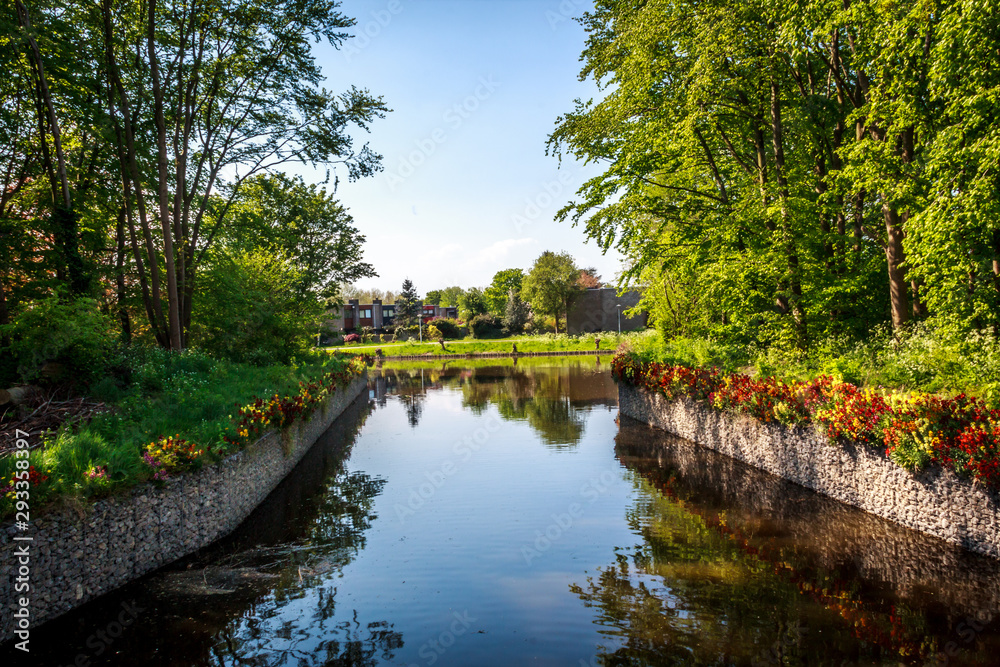 bridge in the park