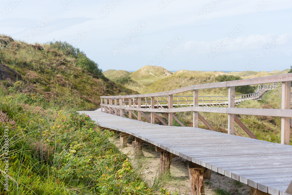Bohlenweg in den Dünen von Amrum Bohlenweg in den Dünen von Amrum