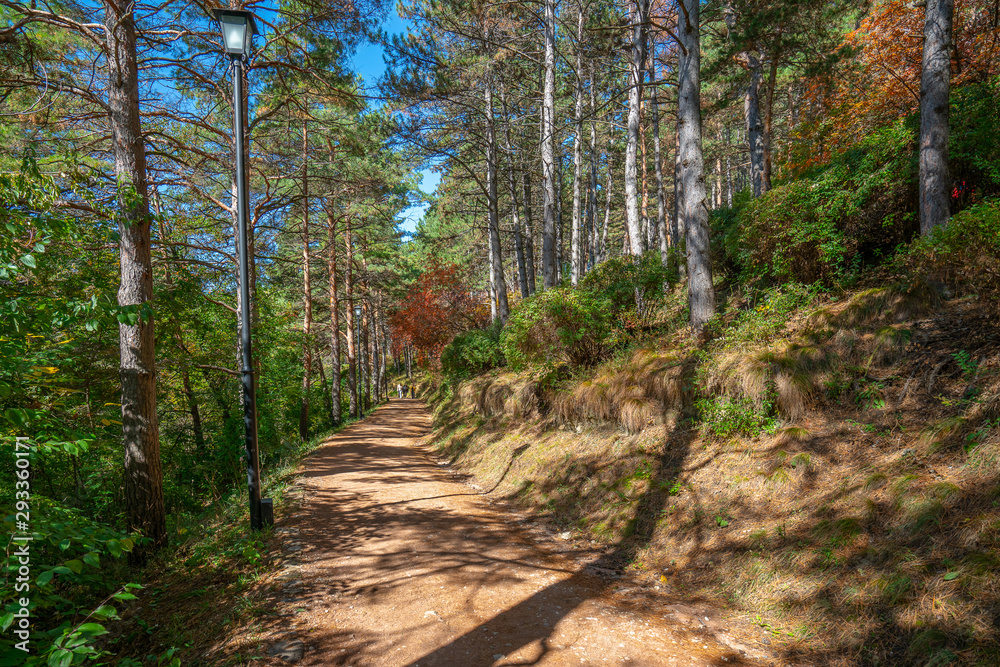 Autumn landscape: health path in the Resort Park, people on a walk Autumn landscape: health path in the Resort Park, people on a walk
