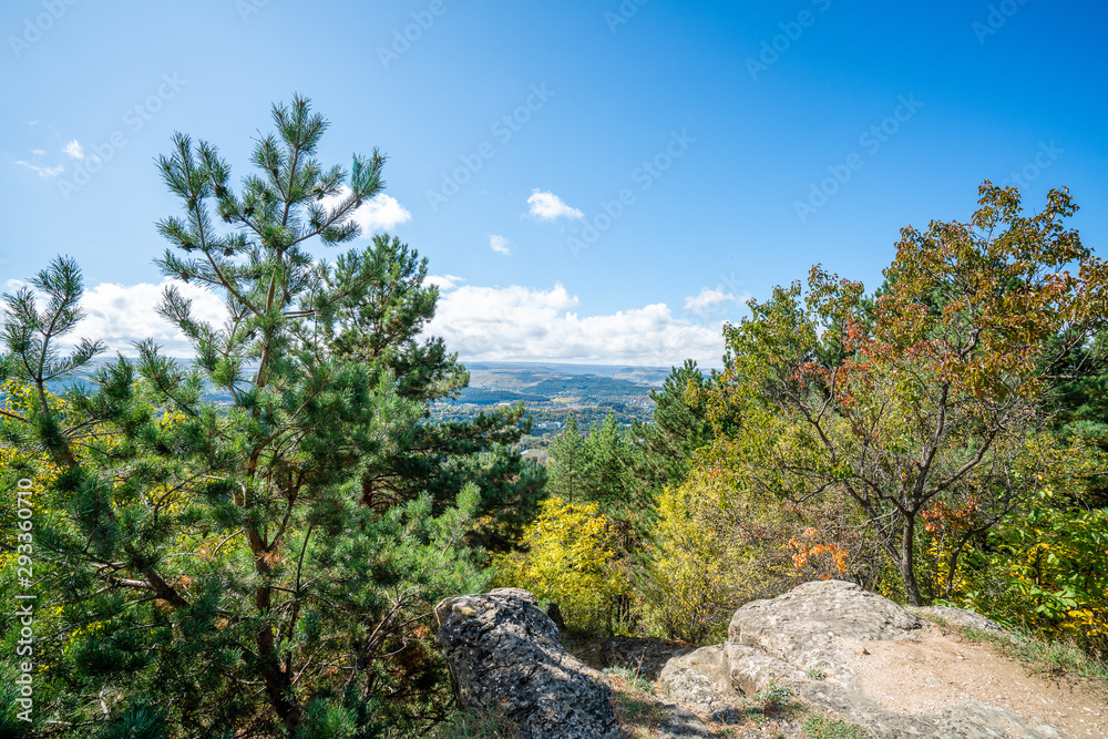 Trees on a cliff in the mountains, view from the Resort Park to the city of Kislovodsk Trees on a cliff in the mountains, view from the Resort Park to the city of Kislovodsk