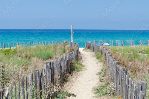 Path to the beach in Corsica. Losari Beach in Belgodère, Corsica, France. Idyllic Mediterranean Beach in the French island of Corsica.