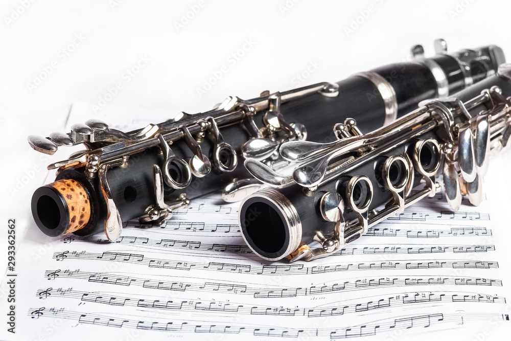 Obraz premium clarinet on a white background
