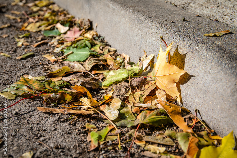 Colourful autumn leaves on the street. Pedestrian streets and driveway Colourful autumn leaves on the street. Pedestrian streets and driveway