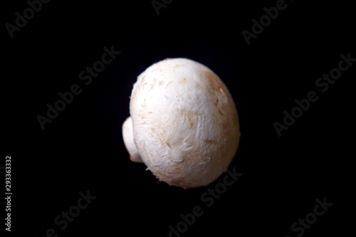 fresh champignon mushroom on a black background