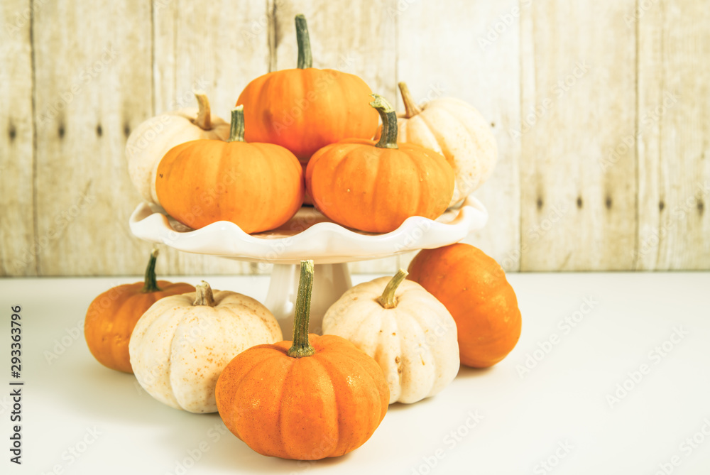 Horizontal Mini pumpkins on wood