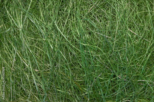 Fake green grass sisal background texture pattern