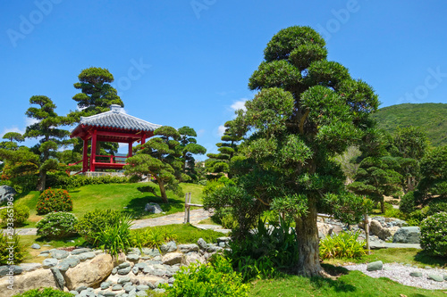 Japanese garden with red pagoda, beatiful landscape and blue sky in dendra park in Vietnam