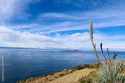 Breathtaking Bolivian Scenery - Deserts  salt flats  sunrise  sunset  vicuna  llama  lama  cactus  snow  lakes  flamingos 