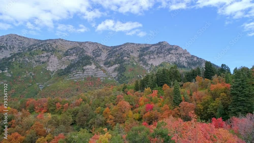 Aerial view looking towards mountains flying backwards over Fall color spread over the forest below in Utah. Aerial view looking towards mountains flying backwards over Fall color spread over the forest below in Utah.