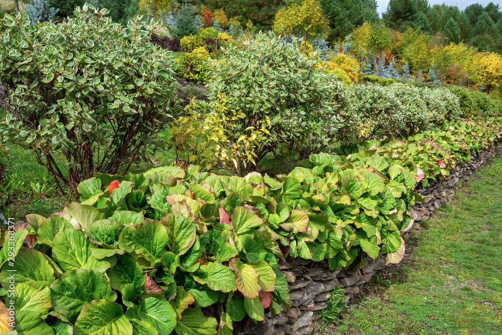 Decorative path in a beautiful garden