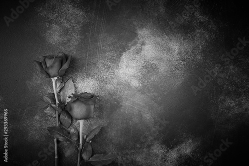 Roses lie on a textured background. Space for your text. Black and white image