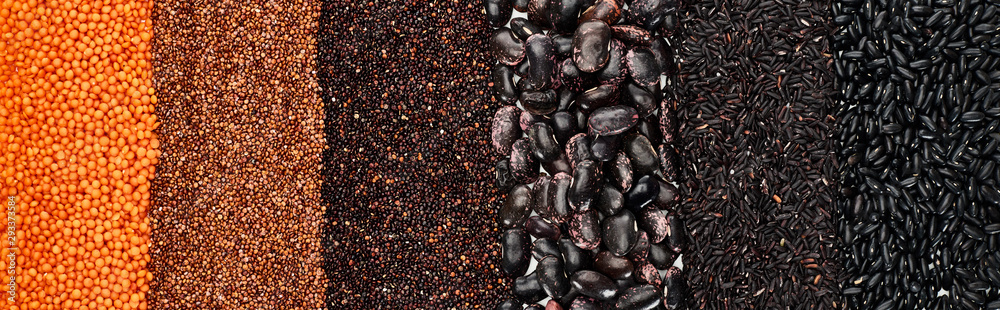 panoramic shot of assorted black beans, rice, quinoa, red lentil and roasted buckwheat