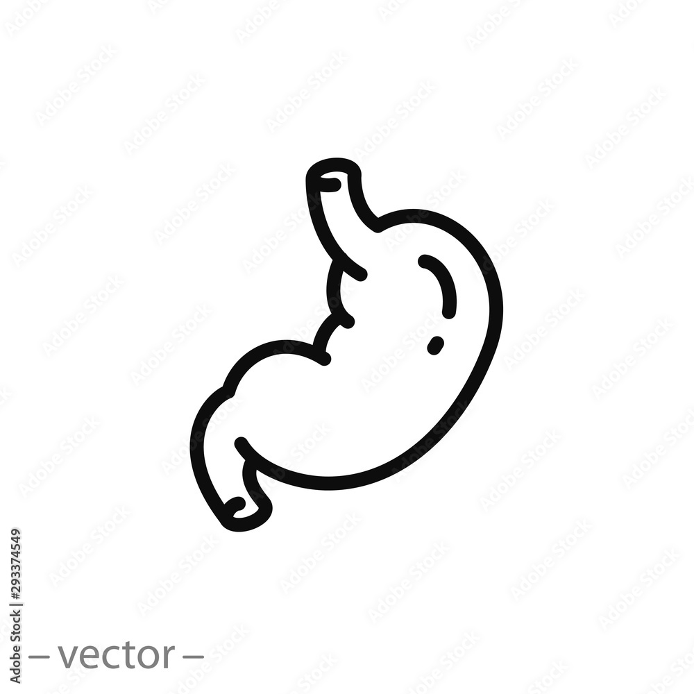 stomach icon, healthy digestive tract, gut, thin line symbol on white background - editable stroke vector illustration eps 10