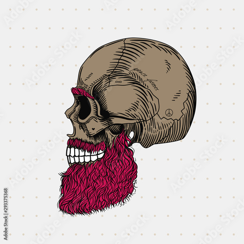 Bearded bald skull with pink hair and tattoo. Stylish men's beard, profile view. Picture for halloween, barbershop and clothes.