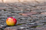 Footpath brick blocks with red apple, the beautiful pathway  in the public park in the morning - image