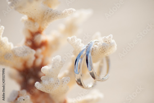サンゴと指輪