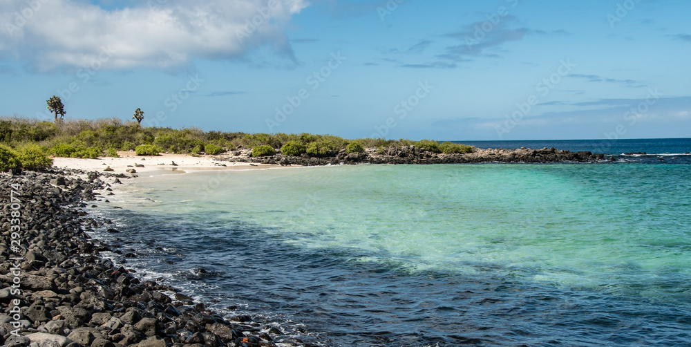 Fototapeta premium Plaża na małej wyspie Santa Fe, Galapagos.