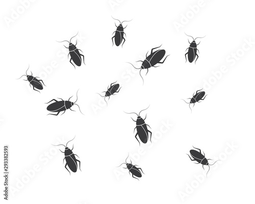  cockroaches vector icon illustration design template © sangidan