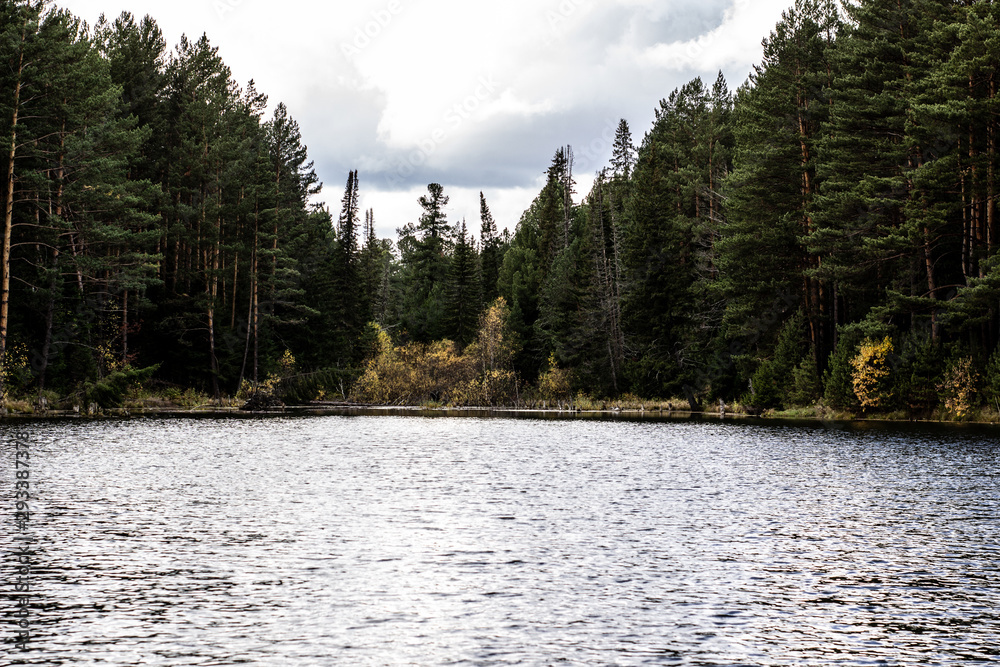 Beautiful panoramic view of big lake in the middle of the forest