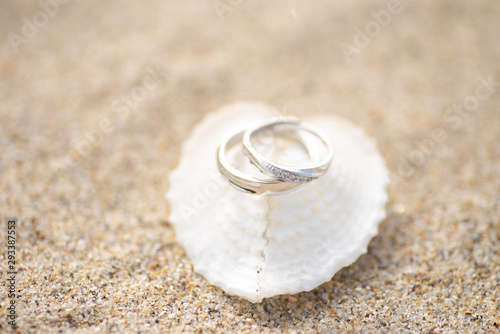 ハート型の貝と指輪