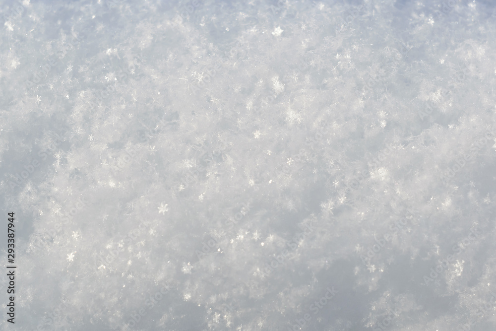 Fototapeta premium snow large snowflakes visible texture winter day