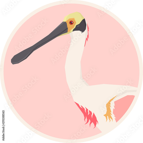 Roseate Spoonbill bird Vector illustration Round frame