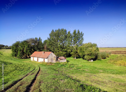 old abandoned house in a field