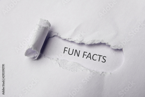 Fun facts on white Torn Paper. Copy space
