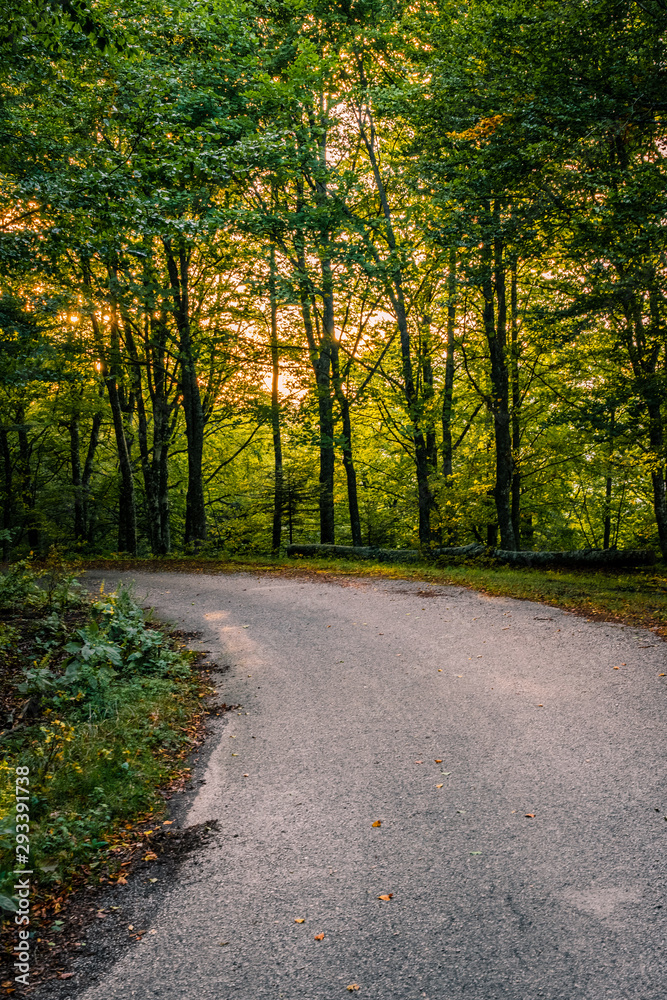 Parco Nazionale Foreste Casentinesi