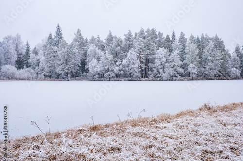 Wallpaper Mural Winter lake at a forest in the wilderness Torontodigital.ca
