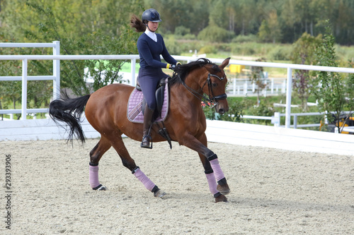 Equestrian girl riding sportive dressage horse 