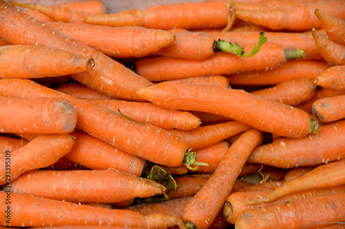 Carrots, masses of carrots