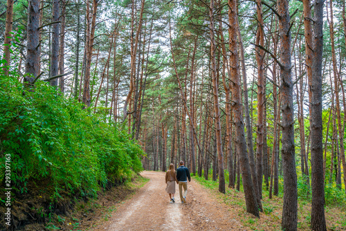 Young couple walks in a park in the mountains, around tall pine trees, sunny autumn day
