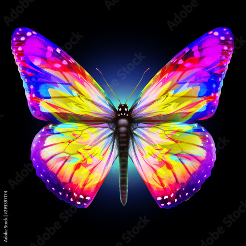 Photos Fantasy Butterfly
