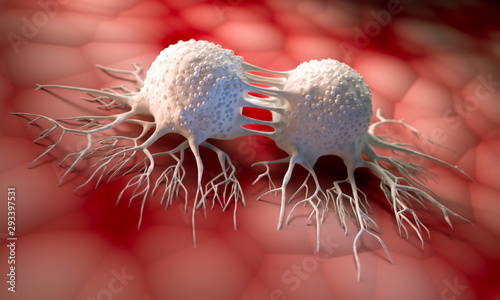 Dividing cancer cells - 3D illustration photo